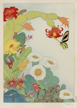 Paul Jacoulet Cactus