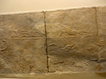 Mort de la lionne, chasse royale sur un bas relief de Ninive