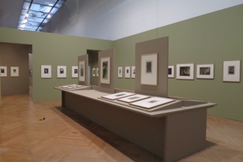 Scénographie de l'exposition