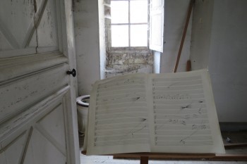 Concerto pour mouches
