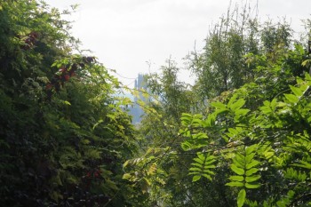 Vue sur les clochers de Rouen