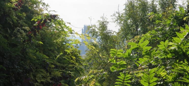 Vue sur les clochers de Rouen