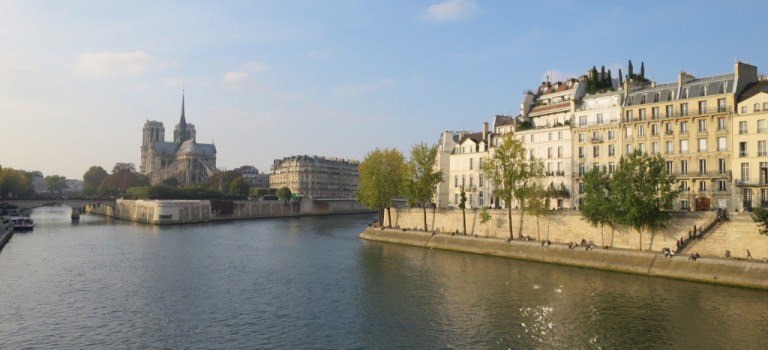 Notre Dame et l'île de la Cité