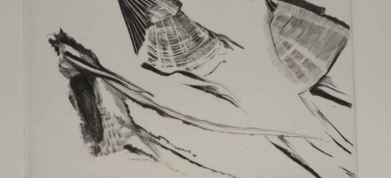 Chronique #5 : les lendemains